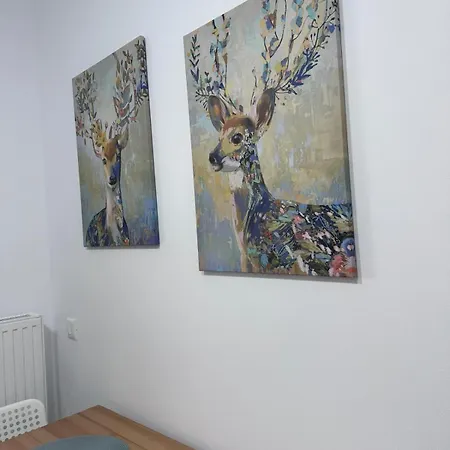 Value Studio, Panoramic View Apartman *