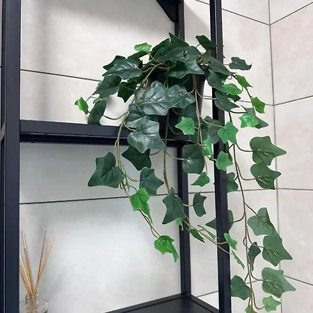 Value Studio, Panoramic View * בוקרשט