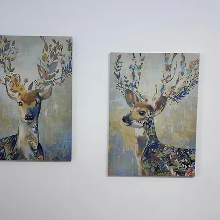 Value Studio, Panoramic View * Boekarest