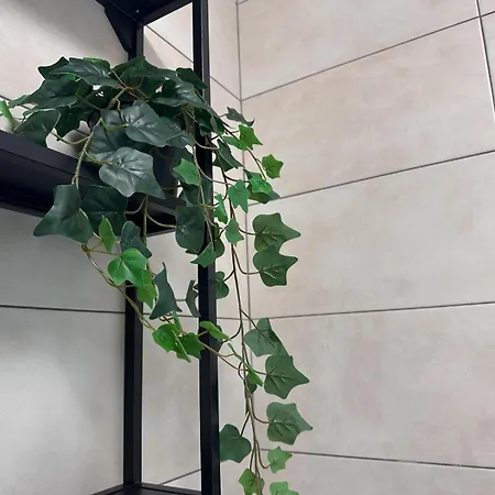 Value Studio, Panoramic View דירה *