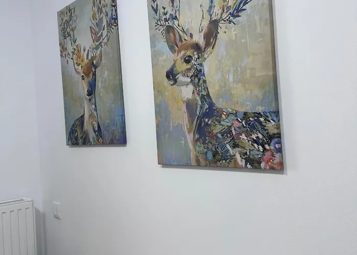 Value Studio, Panoramic View Апартаменти *