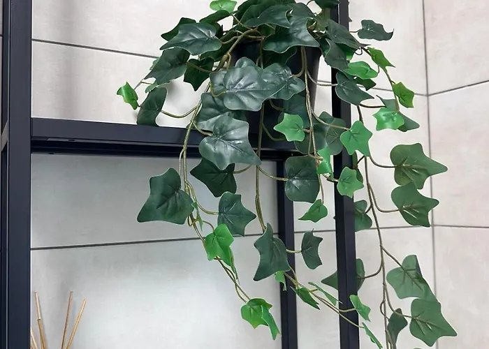 Value Studio, Panoramic View * Boekarest