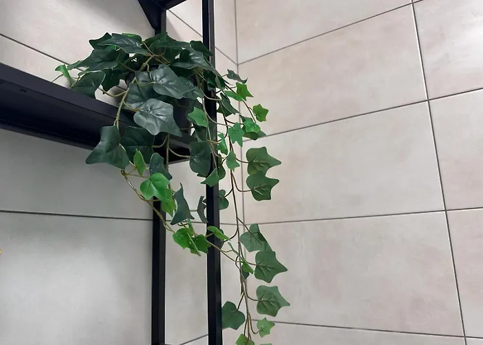 Value Studio, Panoramic View Appartement *